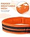 PETTOM Hundehalsband Verstellbare Nylon Hunde Halsband Atmungsaktives Reflektierend Halsband (Orange S)