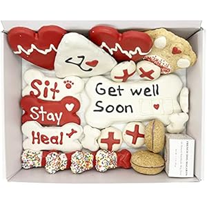 Bonne et Filou Get Well Soon Gifts for Dogs Human Grade Gourmet Dog Treats 21 Luxury Dog Treats with Dog Macarons, Truffles & Bone Cookies Healthy Dog Treats for Small to Large Dogs Bonne et Filou Get Well Soon Gifts for Dogs Human Grade Gourmet Dog Treats 21 Luxury Dog Treats with Dog Macarons Truffles Bone Cookies Healthy Dog Treats for Small to Large Dogs