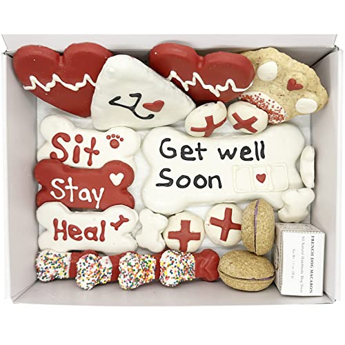 Bonne-et-Filou-Get-Well-Soon-Gifts-for-Dogs-Human-Grade-Gourmet-Dog-Treats-21-Luxury-Dog-Treats-with-Dog-Macarons-Truffles-Bone-Cookies-Healthy-Dog-Treats-for-Small-to-Large-Dogs Bonne et Filou Get Well Soon Gifts for Dogs Human Grade Gourmet Dog Treats 21 Luxury Dog Treats with Dog Macarons Truffles Bone Cookies Healthy Dog Treats for Small to Large Dogs