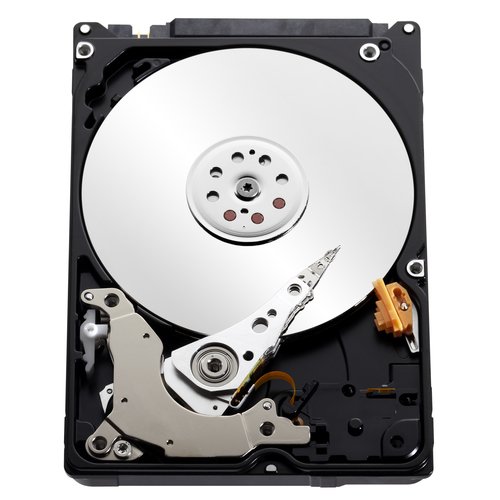 WD WD10JPVX Blu Hard Disk Mobile da 1 TB, 5400 RPM, SATA 6 GB/s, 2.5 ", 9.5 mm - Hdd - Immagine 6