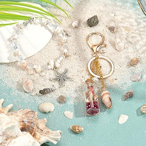 PandaHall Sea Shells, 466pcs 15 Style Spiral Shell Beads Undrilled Tiny Natural Sea Shell Ocean Spiral Seashells Miniature Shells for Resin Candle Party Wedding Decor Fish Tank Vase Filler, No Hole