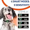 XTBCN Collier Anti-Aboiement Chien, Rechargeable et Étanche IP67, 4 Modes Son/Vibration/Choc, Sensibilité Réglable, pour Petit Moyen Grand Chien Dressage