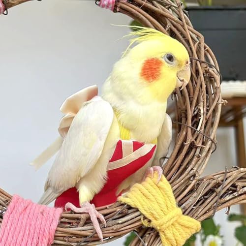 Parrot Flight Suits Fraldas, Parrot Flight Suits Fraldas para Periquitos Quaker Calopsitas, Roupas d