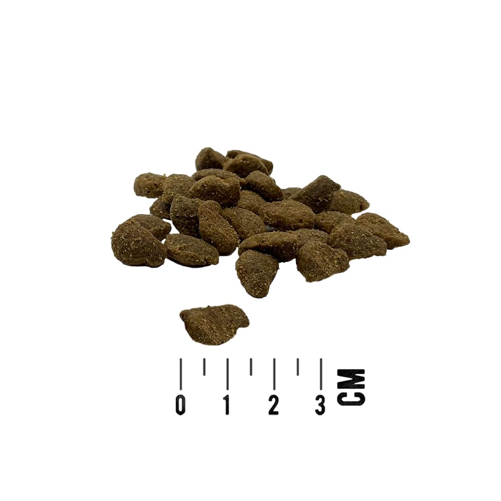 Bundle Mac's Cat Adult Ente, Pute & Huhn 7kg | Getreidefreies Katzen Trockenfutter | 63% Geflügel | mit Lachsöl, Cranberries & Grünlippmuschel | inkl. Mac's Paw Power Drink 200g gratis