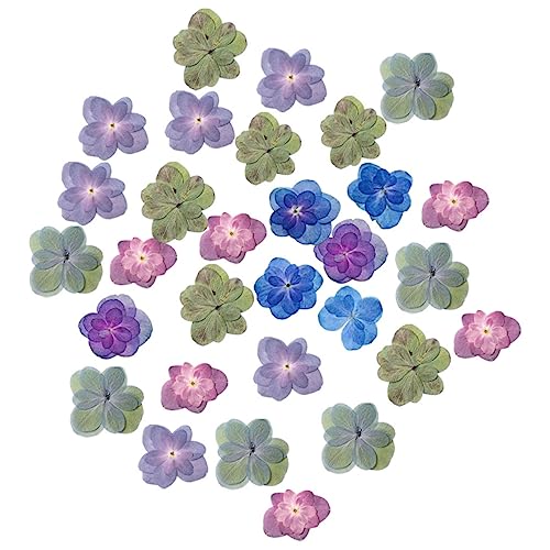 Magiclulu 30 piezas flores secas prensadas para manualidades miniatura 1