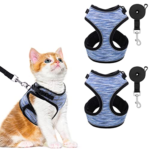 10 Best Find The Harnesses For Cats 10 Great Models of 2022