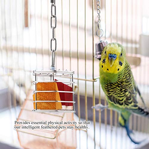 Huisdier Vogel Opknoping Foerageren Tool Eenvoudig in de voedselkooi te plaatsen is verwijderbaar voor vogels Biedt… - Afbeelding 5