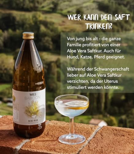 Aloe Vera Saft, 100% BIO Direktsaft, garantierte Aloverose: 1200mg/Liter, 2 x 1 Liter, nachhaltiger Anbau durch Familienbetrieb, Braunglas, Vegan, DE-ÖKO-005