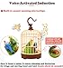HWD Voice-Activated Induction Birds Birdcage Toy, Talking Chirping Fluttering Parrot Birds Toys Gifts for Baby Toddler Kids Children (B)