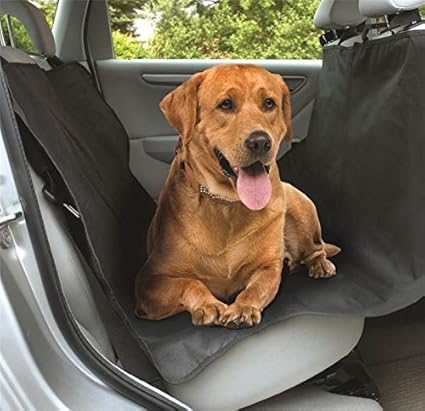 aldi dog car harness