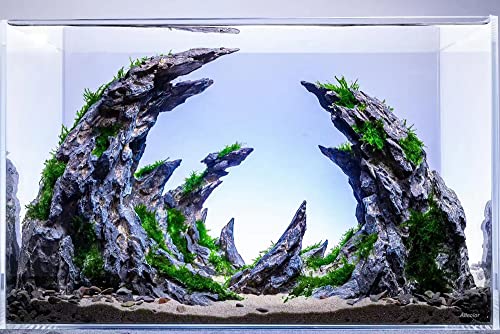 Image of Allcolor Artisan Grade Ultra Clear Rimless Aquarium Tank (15Gal) | Low Iron Glass Fish Tank for Professional Aquascaping and Planted Layouts, 6-60 Gallons (15Gal-Top Glass Canopy)