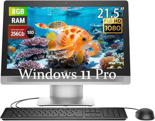 HP ProOne 600 G2 All in One Ordenador de sobremesa, FHD 21.5