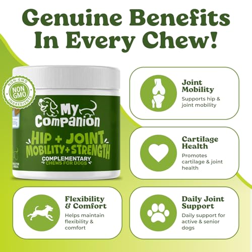 MyCompanion Hip & Joint Supplement for Dogs – Glucosamine, Turmeric & MSM – Supports Mobility, Flexibility & Joint Health – 120 Chicken Flavour Chews, 300g - Image 3
