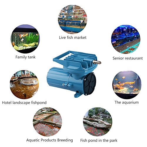 HEALiNK DC 12V 80LPM/Min Aquarium Air Pumps Aquaculture Fish Poods Pressure Compressor Aerator