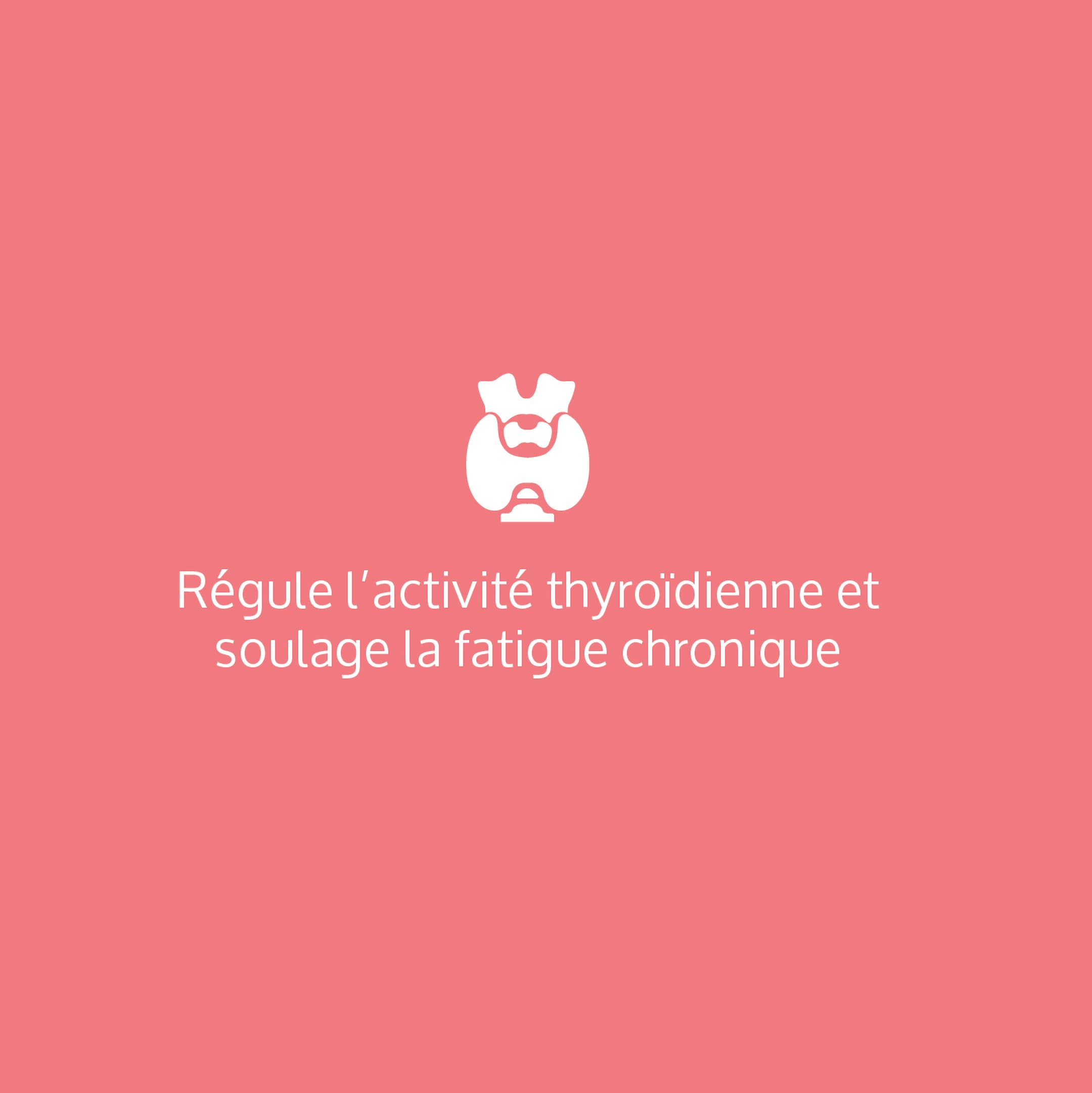 Complément Alimentaire, Régulation Optimale de la Thyroïde | Iode, Selenium, Zinc, Fer, Vitamines B1, B2 | L-Tyrosine, Avoine | Vegan, Extraits Végétaux BIO | Complement Fabriqué en France