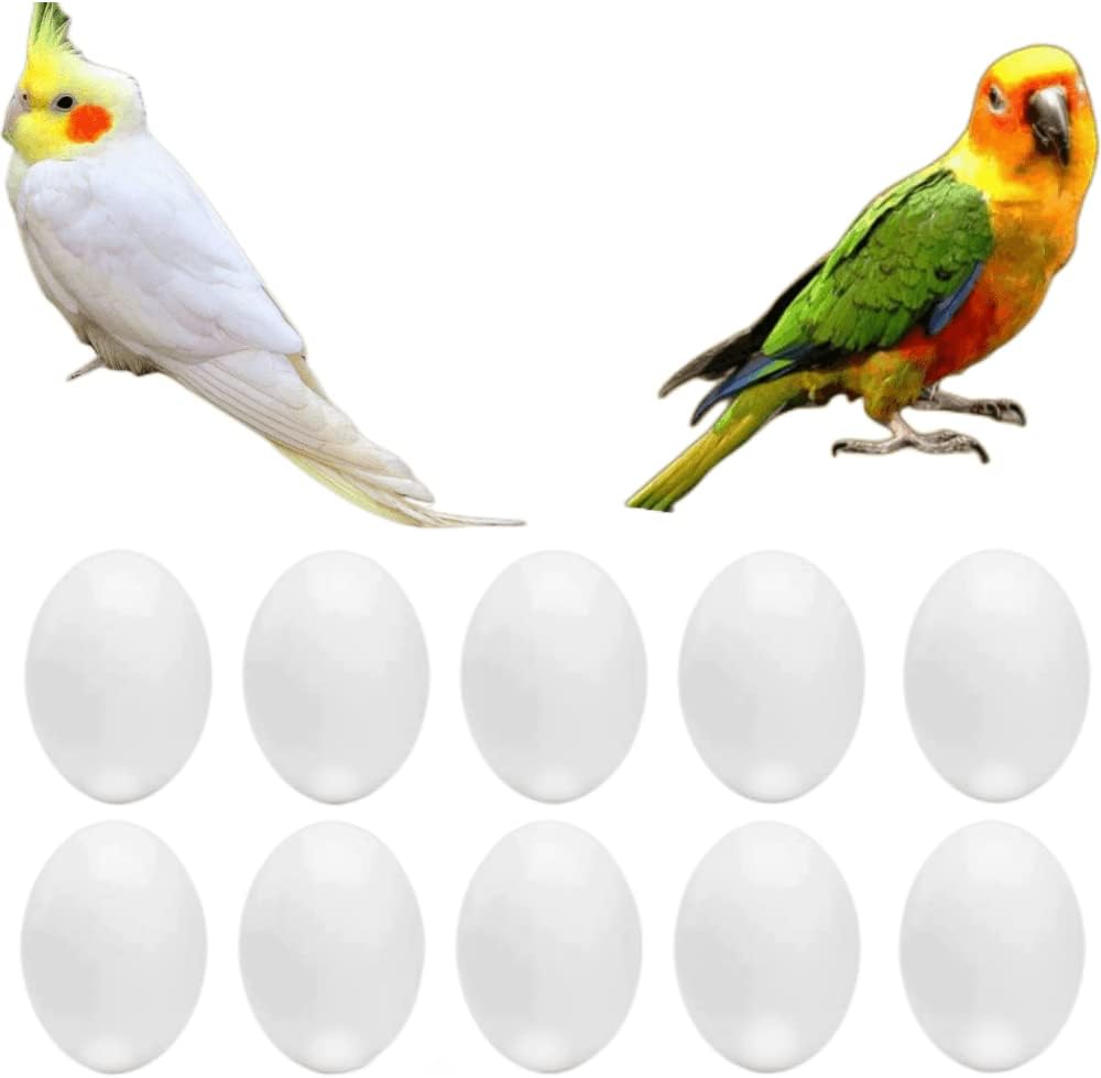 Fake Bird Parrot Eggs Hatching Premium Solid Plastic