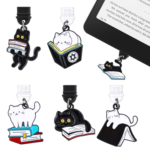 Bouchons anti-poussière pour Kindle et liseuse Type C en voyage