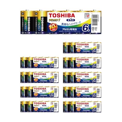 y10ZbgFv60{z  TOSHIBA AJdr P1` 6{ LR20AN 6MP 10Nۑ [ P dr AJdr ܂Ƃߔ \ h d ΍ ]