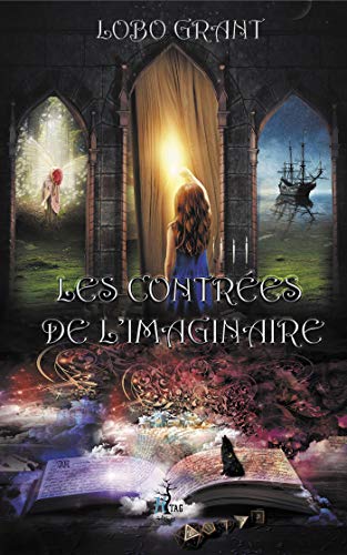 Télécharger Les Contrées de l'immaginaire PDF Ebook En Ligne