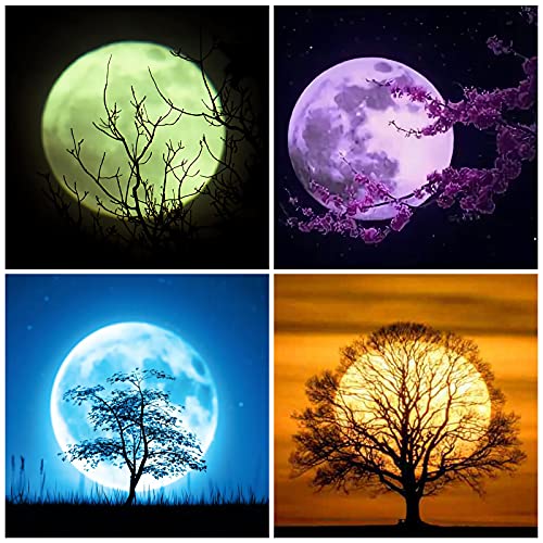 Youley 5D Diamond Painting Set, 4 Stück Diamant Malerei mit Werkzeuge Full Diamant Painting Bilder Malen nach Zahlen für Kinder und Erwachsene Mondlicht DIY Diamant Painting für Heimdekor Wand Cover