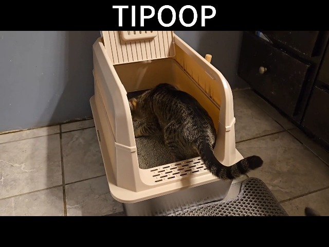 2 Pack TIPOOP XL Stainless Steel Enclosed High Sided Cat Litter Box with Lid, 24'' L &times; 16'' W &times; 17'' H - Odor Control & Easy Cleaning,Non-Sticky, Include Litter Scoop,Grey - image 8