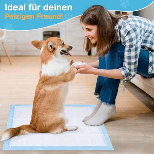 Pawtastic Gear - Welpenunterlagen 90x60 cm, 5-lagige Trainingspads 50 Stück, Auslaufsicher und Strapazierfähig mit Schnell Trocknender Oberfläche, PIPI Matten für Hunde, Blau-Weiß