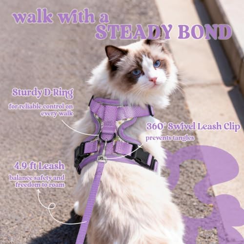 Image of rabbitgoo Cat Harness and Leash Set, Escape Proof Vest, Purr-ple Daisy | Soft Breathable Mesh, Easy Adjustable Fit, Snap Buckles, Sturdy Clip, Reflective Strips, for Average Cats Walks, S