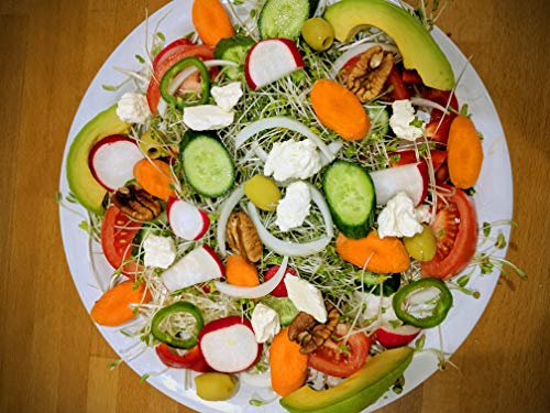 Sprouting Lids-2 Pack 316 Stainless Steel 100% Rust Free for Wide Mouth Mason Jars Lid Kit, Sprout Fresh Organic Broccoli Seeds, Mung Beans, Alfalfa Seed, Lentils, Radish and More (Seeds not included) - Thumbnail 4