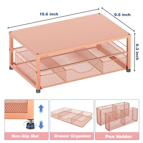 image for OPNICE Desk Organizers and Accessories, 2-Tier Computer Monitor Stand 