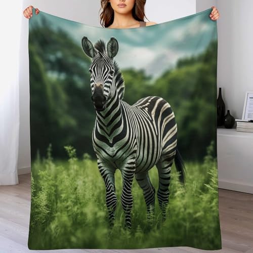 Couverture zèbre en flannel 180x200cm pour canapé - 2