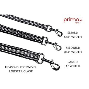 Reflective 4 Feet Nylon Dog Leash with Padded Double Handles, 2 Heavy Duty Neoprene Handles for Control Safety Training Durable Traffic Handle, for Medium to Large Dog (Large – 1″ Width, Black)