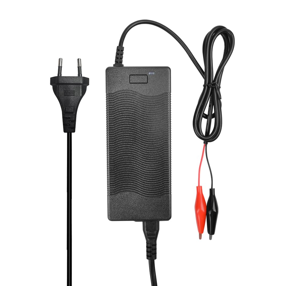 Batterie LiFePO4 12 V 36 Ah au lithium phosphate de fer pour camping bateau caravane solaire