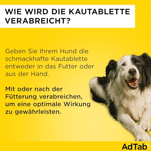 Sparset: Doppelpack AdTab Hunde Zecken- und Flohschutz ( 2,5 bis 5,5 kg), Kautablette tötet Zecken und Flöhe schnell ab und schützt einen Monat lang, leicht zu verabreichen (3 St. pro Packung)