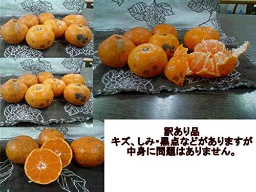 みかん 訳あり 箱込１０キロ（９kg＋保証分５００g）ご家庭用 熊本産 フルーツ 果物【フルーツ甘味屋GGY】