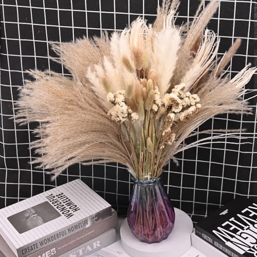 Pampas Grass Large Dried Pampas Grass Natural 70pcs miniatura 7