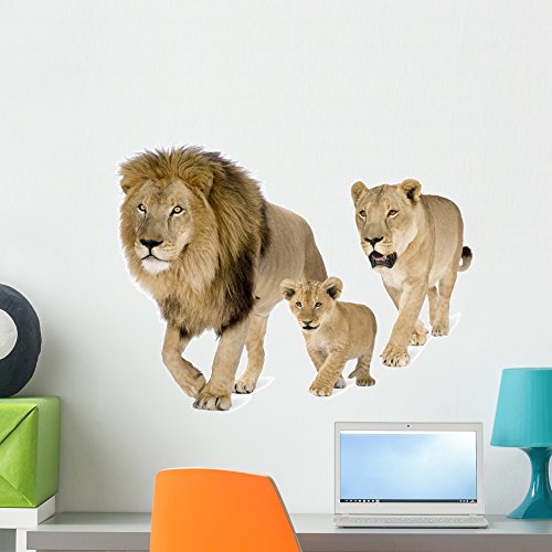 Wallmonkeys FOT-8821789-24 WM216505 Lions Family in Front of White Background Peel and Stick Wall De - //coolthings.us