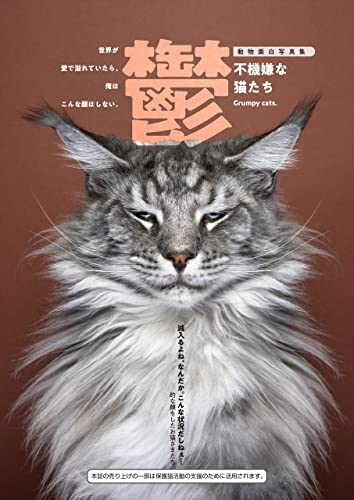 鬱ー不機嫌な猫たちー (六花舎ブックス)