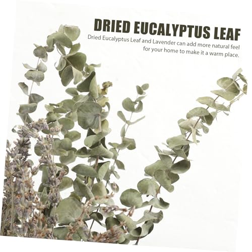 Set de tallos de eucalipto y lavanda secos para decoración miniatura 2