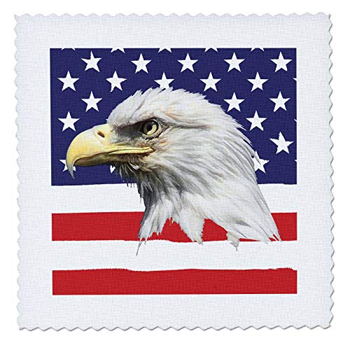 16x16 inch Quilt Square - American Bald Eagle Over The USA Flag. an Elegant Patriotic Gift Alexis Design - American Flag Bald Eagle