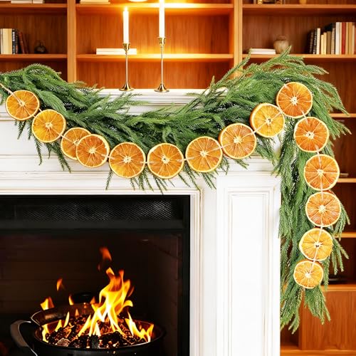 10 FT Dried Orange Garland with 30 Dried Fruit Slice