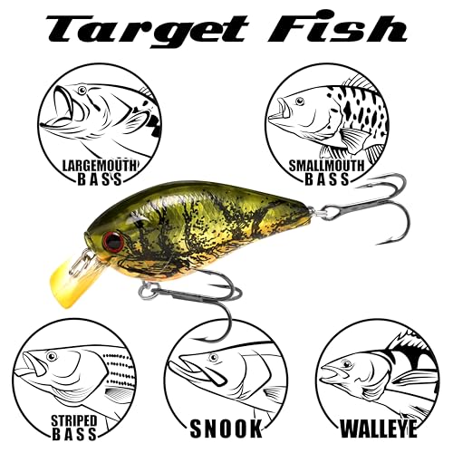 Polly Cranka/ポリー・クランカ　CF Fab FAB ポリー・クランカ/Polly Cranka SEA CF英語版 JP] [RF