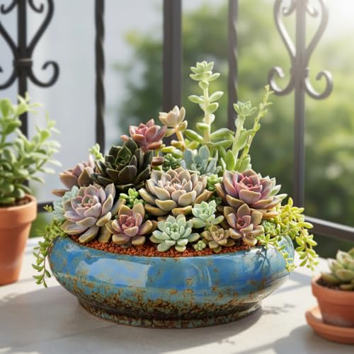 Pot de plantes succulentes en céramique blanche YARNOW - 6