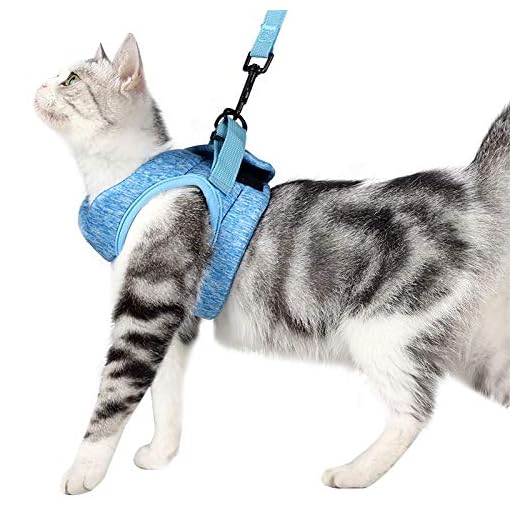 Crea CLEA - Ultralicht en comfortabel kattenharnas met riem. (M, lichtblauw)