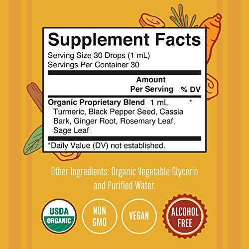 Turmeric Gold Drops & Morning Multivitamin (Raspberry) Bundle | Usda Organic Herbal Liquid For Immune & Digestive Support | Liquid Vitamins For Immune Support & Overall Wellness #TOP5