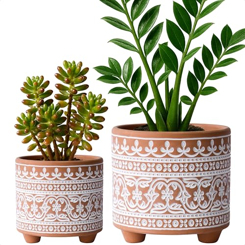 D'vine Dev Set of 2 Terracotta Planter Pots, 4 Inch