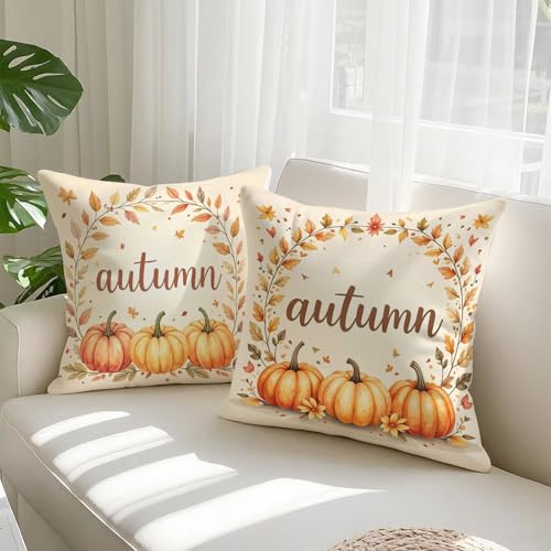 Housse coussin 75x75cm double face imperméable en velours épais lavable