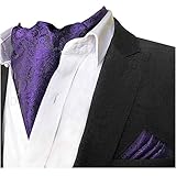 CANGRON Men Purple Paisley Ascot Tie Cravat & Pocket Square Set LJP2ZI