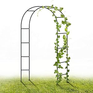 YAOBLUESEA Metalen Tuinboog, 2.4M Tuinboog Poedercoating Stalen Trellis voor Planten Ondersteuning Rozen Klimmen Archway…
