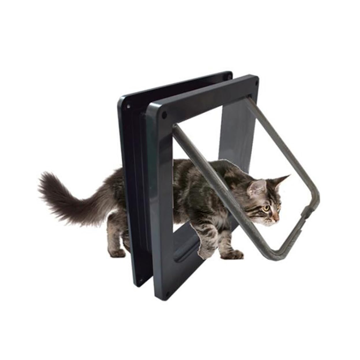 Porte pour chat domestique chatière murale en ABS brossé silencieux pour chaton