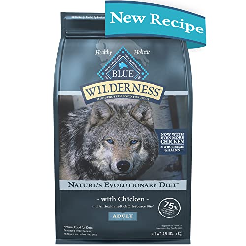 10 Best Dog Foods for Huskies Feed Your Furry Friend the Right Way
